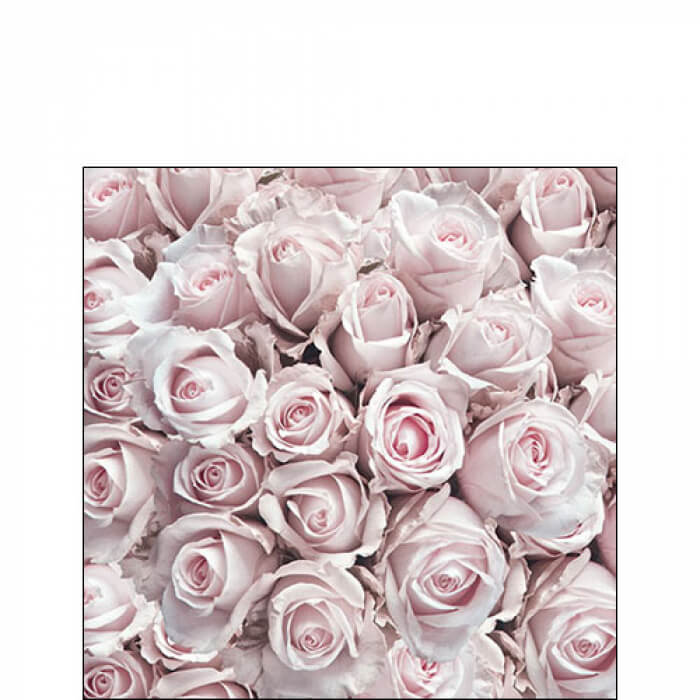 Cocktail Servietten - Pastell Rosen