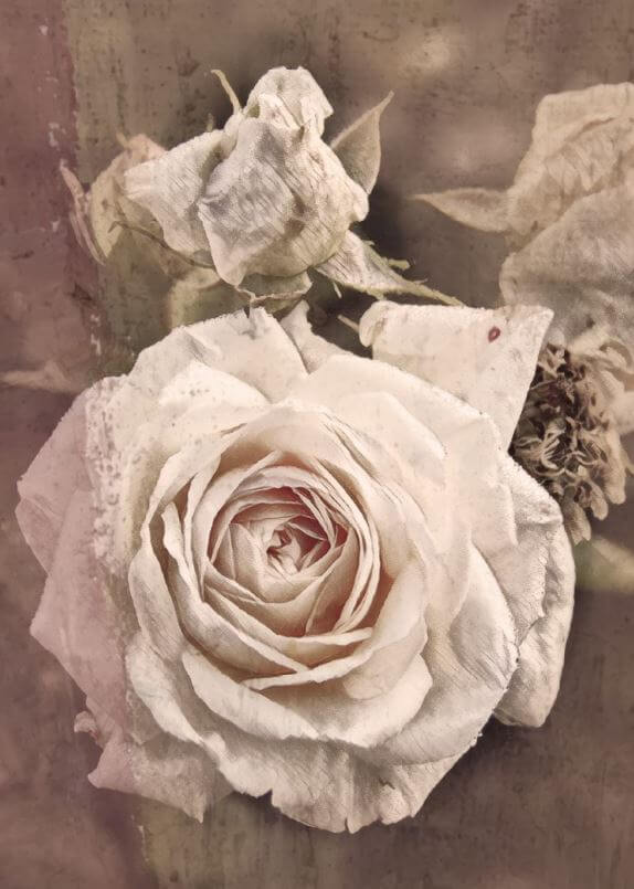Trauerkarte - Rosen -Vintage