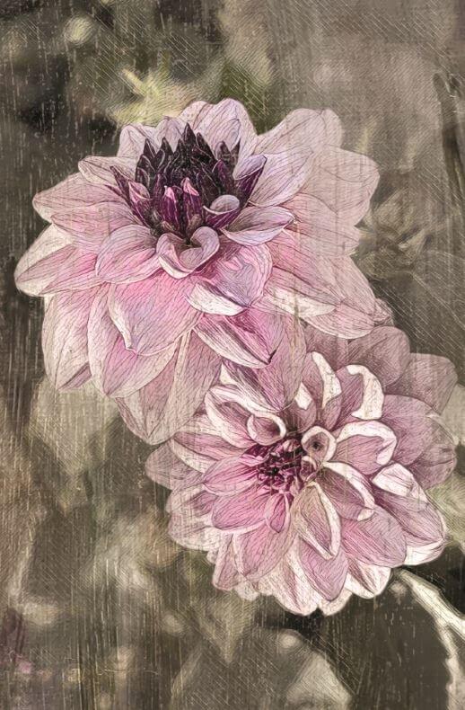 Karte - Blumen - Vintage
