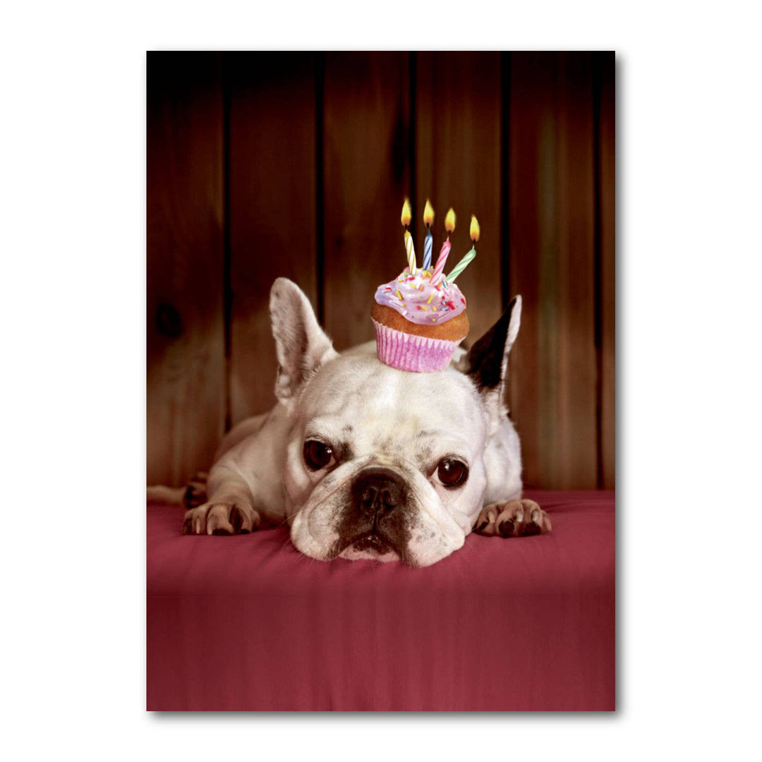 Grusskarte - Frenchy