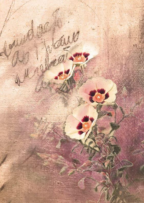 Karte - Blumen - Vintage