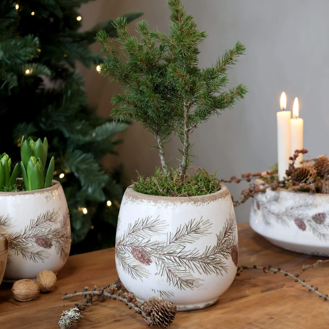 Pot de fleurs avec motif cône 16,5 cm