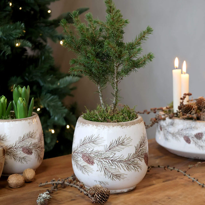 Pot de fleurs avec motif cône 16,5 cm