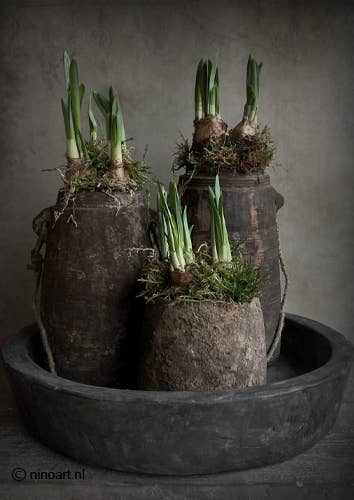 Wanddekoration - Früher Frühling Vintage