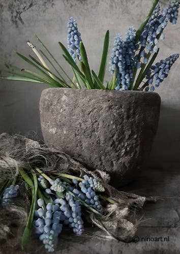 Wanddekoration - Blaue Traubenhyazinten Vintage