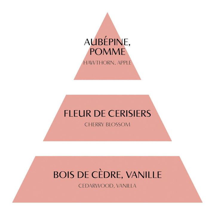 Mathilde M Home Fragrance Diffuser -  Fleur de Cerisier
