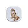 Lippenbalsam Feline Fabulous, Katze – By Hannah Dale