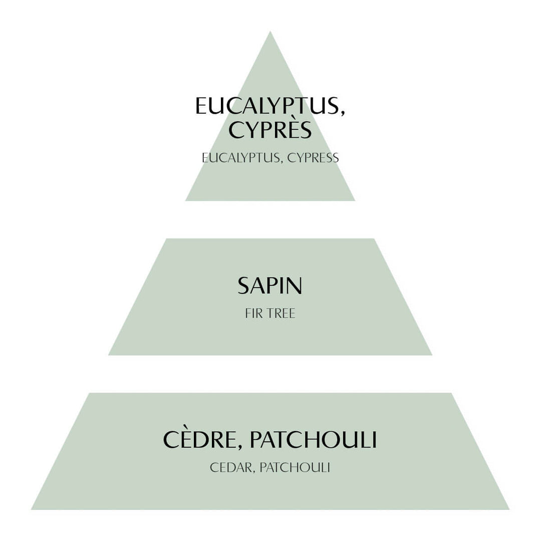 Mathilde M. Sapin Givré – Winterlicher Raumduft