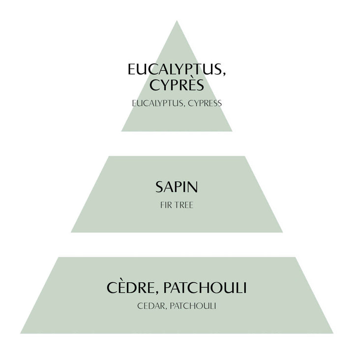 Mathilde M. Sapin Givré – Winterlicher Raumduft