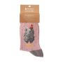 Damensocken Neugierige Henne – Curious Hen – By Hannah Dale