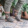 Damensocken Pferd – By Hannah Dale