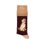 Herrensocken Labrador – By Hannah Dale
