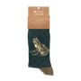 Herrensocken Glücklicher Frosch – By Hannah Dale