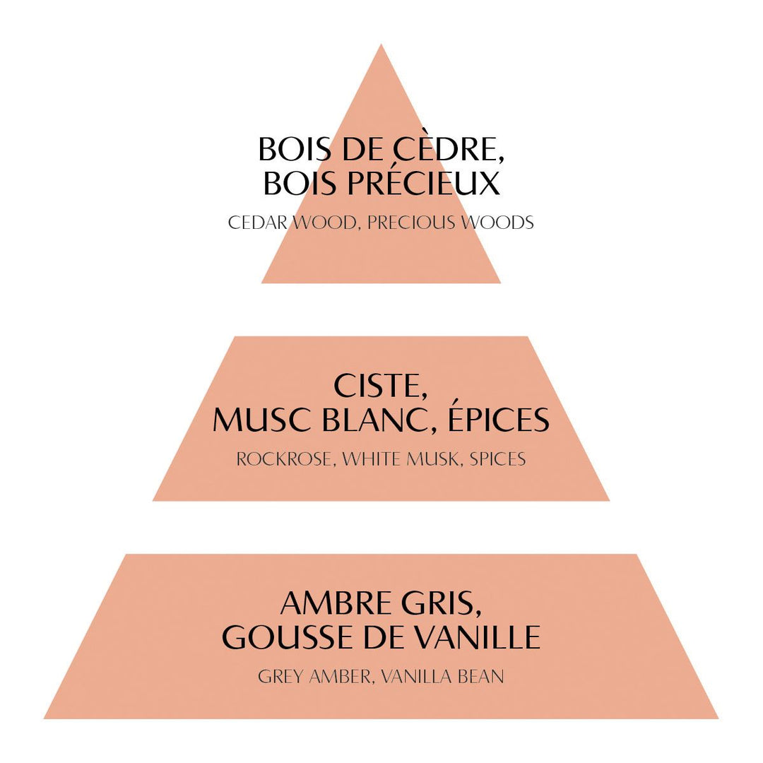 Mathilde M. Duftöl für Duftlampen - Marquise