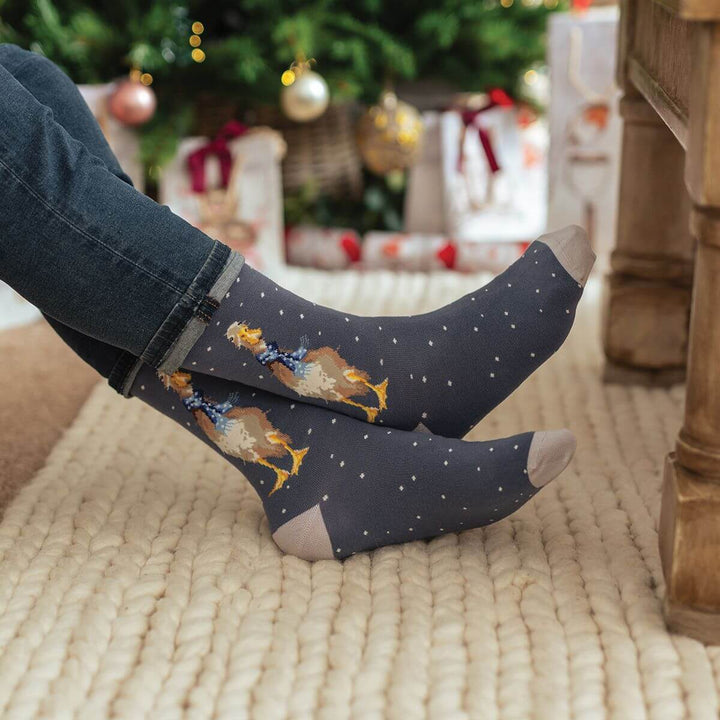 Herrensocken by Hannah Dale  - Weihnachtsgans